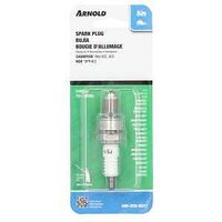 SPARK PLUG  RN14YC  BPR4ES. F 