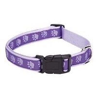 Casual Canine ZA8871 10 79 Dog Collar, 10 to 16 in L Collar, 5/8 in W Collar, Nylon, Purple