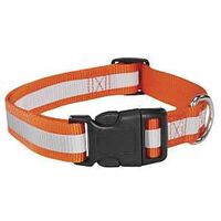 Guardian Gear ZA984 06 69 Dog Collar, 6 to 10 in L Collar, 3/8 in W Collar, Nylon, Orange