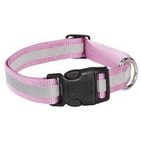 Guardian Gear ZA984 06 75 Dog Collar, 6 to 10 in L Collar, 3/8 in W Collar, Nylon, Pink, Reflective Taping