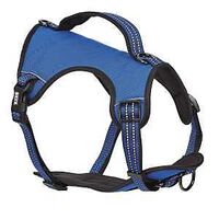 REFLECTIVE HARNESS NYLN BLUE S