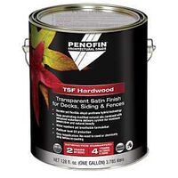 WOOD STAIN TRNPS SATIN NATL 1G