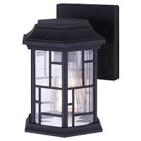 Canarm CHANTRY IOL352BK Outdoor Light, 100 W, Type A Lamp, Black Fixture
