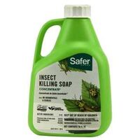SOAP INSECT KILLER CONCNT 16OZ