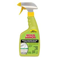 REMOVER STAIN MOLD/MILDEW 32OZ