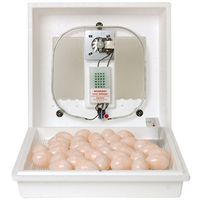 Miller 10300 Circulated Air Egg Incubator