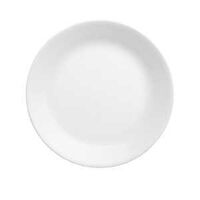 DINNER PLATE FROST WHT 10.25IN