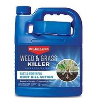 KILLER WEED-GRASS CONC 64OZ   
