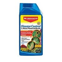 DISEASE CONTROL CONC 32OZ     