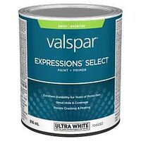 EXTERIOR PAINT SATIN PASTEL QT