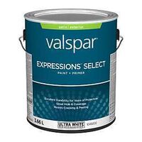 EXTERIOR PAINT SATIN PASTEL 1G