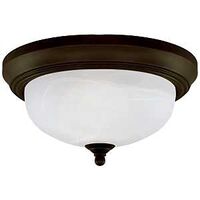 Westinghouse 6429100 Flush Mount Ceiling Fixture, 120 V, 60 W, 2-Lamp, Incandescent, LED Lamp, Steel Fixture