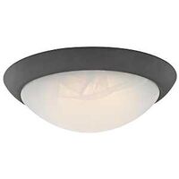 FIXTURE CEILING LED ORB 11IN  