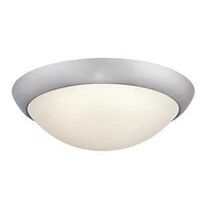 CEIL LT LED FMT BNIC 14W 11IN 