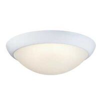 14W 11 DIM LED FLUSH WHITE W/F