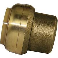 END CAP PUSH FIT BRASS 1IN    
