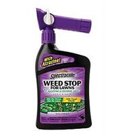 CONCENTRATE STP WEED 32OZ LIQ