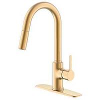 KTN FCT PD CONTEMP CHMPG GOLD 