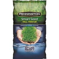 SEED TALL FESCUE BLEND 7LB    