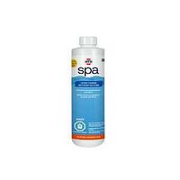 3437399 - SPA FILTER CLEANER LIQ 500ML