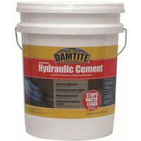 Damtite 07502 Waterproof Hydraulic Cement