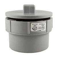 DWV FTG C/O SPXGASKET PLUG 2IN