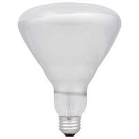 BULB INCAN BR40 FROSTED 65W   