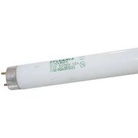 Octron 800 Xp 22026 Ecologic Extended Performance Fluorescent Lamp
