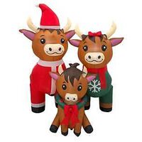 INFL HIGHLANDER COW FAMILY 6FT