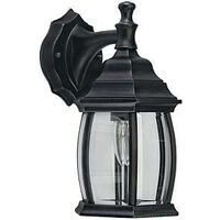 Canarm IOL1210 Outdoor Lantern, 120 V, 100 W, Aluminum Fixture, Black Fixture