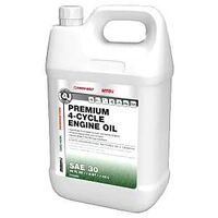 Arnold OL-448 4-Cycle Engine Oil