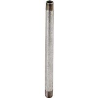 Worldwide Sourcing GN 1/2X18-S Galvanized Pipe Nipples