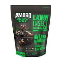 LAWN INSECT KILLER GRNLES 10LB