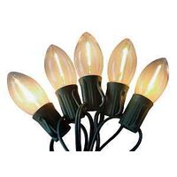 Santas Forest 26918 LED Filament Retro Light Set, 25-Lamp, LED, Clear, 25000 hr Average Life, 25 ft L