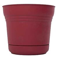 PLANTER 5IN BURNT RED SATURN  