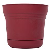 PLANTER 7IN UNION RED SATURN  
