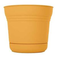PLANTER W/SAUCER EARTH YEL 7IN