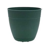 Bloem DAY1255 Planter, 12 in Dia, 10-1/2 in H, Round, Plastic, Turtle Green