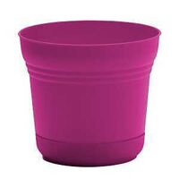 SATURN PLANTER FUSCHIA 12IN   