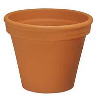 POT TERRA COTTA 12.25IN       