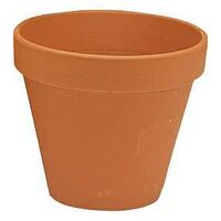 POT TERRA COTTA 7.75IN        