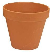 FLWR DSGN POT RD CLAY 6X5.25IN