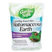 INSECT DIATOMACEOUS EARTH 4LB 