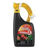 ANT KILLER BROADCAST RTS 32OZ 