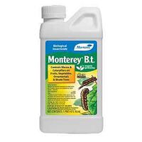 WORM&CATERPILLAR KILLER 1PINT 