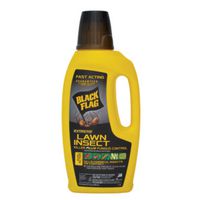 INSECT KILLER LAWN 32OZ CONC  