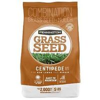 Pennington 100081628 Medium Coarse Texture Centipede Grass Seed