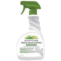 CONTROL WEED & GRASS 32OZ     