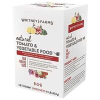 FOOD PLANT TOMATO-VEGETBLE 1LB