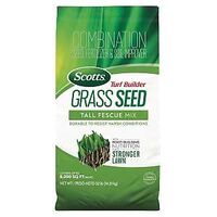 SEED GRASS TALL FESCUE 32LB   